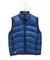 THE NORTH FACE（ザ ノース フェイス）の古着「Aconcagua Vest」｜ブルー