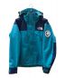 THE NORTH FACE（ザ ノース フェイス）の古着「40th Trans Antarctica Mountain Jacket」｜ブルー