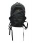 ARC'TERYX（アークテリクス）の古着「MANTIS 16 BACKPACK」｜ブラック