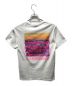 stussy (ステューシー) Clear Day Tee ホワイト サイズ:S：5000円