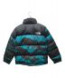 THE NORTH FACE (ザ ノース フェイス) 1996 RETRO NUPTSE JACKET　NF0A5IX4 ブラック×グリーン サイズ:M：33000円