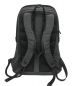 THE NORTH FACE (ザ ノース フェイス) Access Pack NF0A2T7E ブラック×グレー：9000円