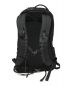 ARC'TERYX (アークテリクス) ARRO 22 BACKPACK　24016-122986 ブラック：13000円