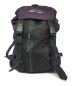 JANSPORT（ジャンスポーツ）の古着「バックパック」｜パープル