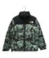 THE NORTH FACE（ザ ノース フェイス）の古着「Novelty Nuptse Jacket/ノベルティヌプシダウンジャケット」｜ブラック×グリーン