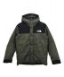 THE NORTH FACE（ザ ノース フェイス）の古着「Mountain Down Jacket」｜ニュートープ