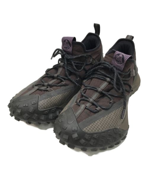 NIKE ACG（ナイキエージーシー）NIKE ACG (ナイキエージーシー) MOUNTAIN FLY LOW ブラウン サイズ:29の古着・服飾アイテム