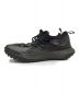 NIKE ACG (ナイキエージーシー) MOUNTAIN FLY LOW ブラウン サイズ:29：6000円