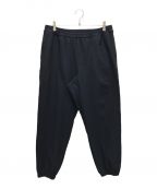 DAIWA PIER39ダイワ ピア39）の古着「TECH FLEX JERSEY PANTS」｜ネイビー