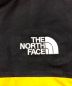 THE NORTH FACEの古着・服飾アイテム：11000円