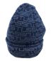 stussy（ステューシー）の古着「JACQUARD CUFF BEANIE」｜ブルー