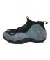 NIKE (ナイキ) AIR FOAMPOSITE ONE PRM ABALONE ブルー サイズ:25：9000円