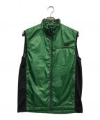 THE NORTH FACEザ ノース フェイス）の古着「TAHOE VEST」｜グリーン