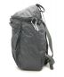 ARC'TERYX (アークテリクス) INDEX 15 バックパック グレー サイズ:下記参照：7000円