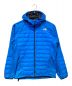 THE NORTH FACE（ザ ノース フェイス）の古着「ダウンジャケット」｜ブルー