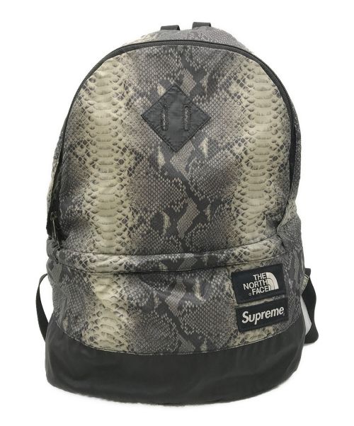 SUPREME（シュプリーム）SUPREME (シュプリーム) THE NORTH FACE (ザ ノース フェイス) Snakeskin Lightweight Day BackPack グレーの古着・服飾アイテム