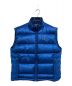 Patagonia（パタゴニア）の古着「Down Vest」｜ブルー