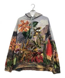 DRIES VAN NOTEN（ドリスヴァンノッテン）の古着「Botanical Landscape Oversized Hoodie」｜グレー