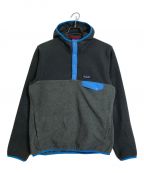 Patagoniaパタゴニア）の古着「Synchilla Snap-T Hoody / シンチラスナップTフーディー」｜グレー