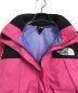 THE NORTH FACE (ザ ノース フェイス) マウンテンレインテックスジャケット ピンク サイズ:M：16000円