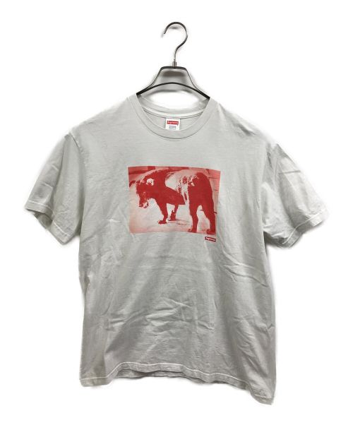 SUPREME（シュプリーム）SUPREME (シュプリーム) DAIDO MORIYAMA (モリヤマダイドウ) Dog Tee ホワイト サイズ:Mの古着・服飾アイテム