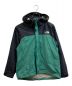 THE NORTH FACE（ザ ノース フェイス）の古着「ドットショットジャケット」｜グリーン×ブラック