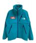 THE NORTH FACE（ザ ノース フェイス）の古着「Trans Antarctica Fleece Jacket」｜ブルー