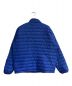 Patagonia (パタゴニア) Down Sweater　ダウンセーター　84673 ブルー サイズ:XL：8800円