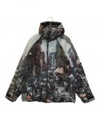 LFYTエルエフワイティー）の古着「OLD NY MOUNTAIN PARKA LA231006」｜マルチカラー