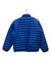 Patagonia (パタゴニア) Down Sweater　ダウンセーター ブルー サイズ:L：7800円