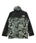 THE NORTH FACE (ザ ノース フェイス) Novelty Mountain Light Jacket グレー サイズ:S：17000円