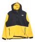 THE NORTH FACE（ザ ノース フェイス）の古着「ハーフジップフリースプルオーバー」｜イエロー