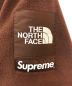 中古・古着 THE NORTH FACE (ザ ノース フェイス) SUPREME (シュプリーム) Steep Tech Fleece ブラウン サイズ:L：29800円