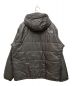 THE NORTH FACE (ザ ノース フェイス) TRANGO JACKET/トランゴジャケット  グレー サイズ:SIZE XL：4800円