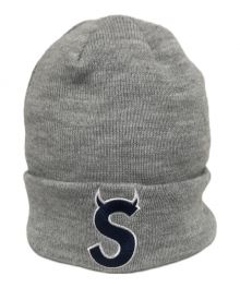 SUPREME×New Era（シュプリーム×ニューエラ）の古着「22FW S LOGO BEANIE ニット帽」｜グレー