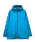 Patagonia（パタゴニア）の古着「Snowshot Jkt スノーショットジャケット」｜ブルー