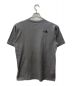 THE NORTH FACE (ザ ノース フェイス) プリントTシャツ STANDARD FIT グレー サイズ:M/M：3480円