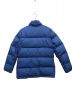 THE NORTH FACE (ザ ノース フェイス) ダウンジャケット ブルー サイズ:M：8000円