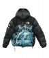 THE NORTH FACE（ザ ノース フェイス）の古着「Statue Of Liberty Baltro Jacket Black/ダウンジャケット」｜ブラック×ブルー