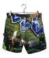 SUPREME (シュプリーム) 18SS Lion's Den Painter Shorts グリーン サイズ:30：20000円