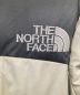 中古・古着 THE NORTH FACE (ザ ノース フェイス) BALTRO LIGHT JACKET（バルトロライトジャケット） グレー サイズ:M：31000円