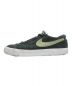 stussy (ステューシー) NIKE SB (ナイキエスビー) ローカットスニーカー グリーン サイズ:27㎝：6000円