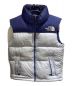 THE NORTH FACE（ザ ノース フェイス）の古着「ダウンベスト」｜ブルー