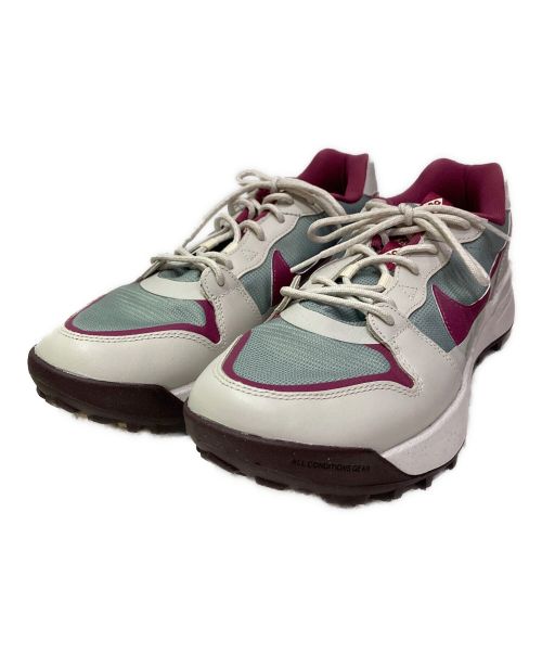 NIKE ACG（ナイキエージーシー）NIKE ACG (ナイキエージーシー) ローカットスニーカー パープル サイズ:27の古着・服飾アイテム