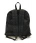 COMME des GARCONS HOMME PLUS (コムデギャルソンオムプリュス) BACK PACK ブラック：22000円