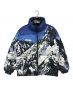 FIRST DOWNファーストダウン）の古着「MOUNTAIN PRINT REVERSIBLE DOWN」｜ブルー