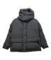 DAIWA PIER39（ダイワ ピア39）の古着「GORE-TEX INFINIUM EXPEDITION DOWN JACKET」｜ブラック