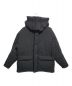 DAIWA PIER39（ダイワ ピア39）の古着「GORE-TEX INFINIUM EXPEDITION DOWN JACKET」｜ブラック