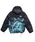 THE NORTH FACE（ザ ノース フェイス）の古着「STATUE PRINT Baltro Jacket」｜ブラック×グリーン