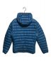 Patagonia (パタゴニア) DOWN SWEATER HOODY ブルー サイズ:ＸＳ：9000円